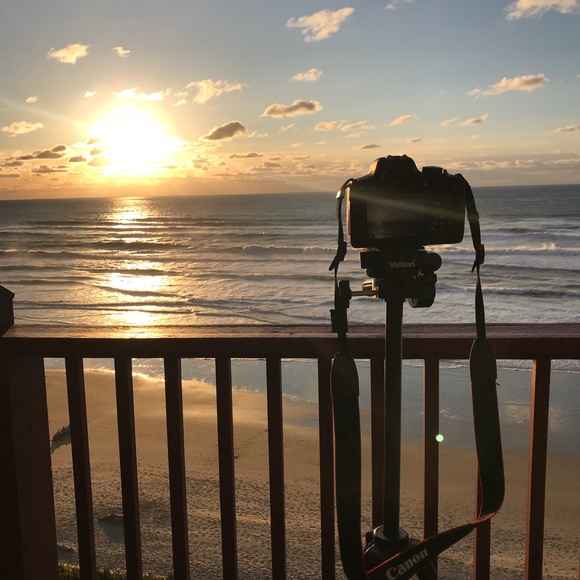 Meet your posher - Picture 1 of 6